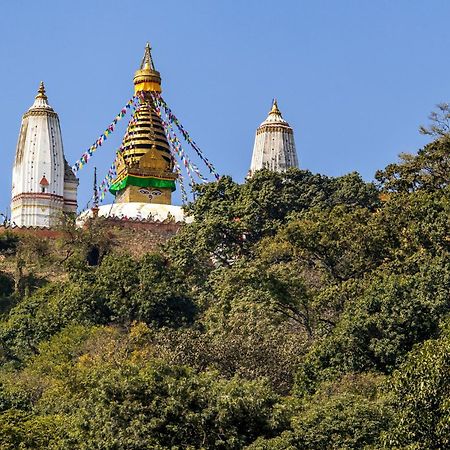 House Of Forrest, Service Apartments Kathmandu Luaran gambar