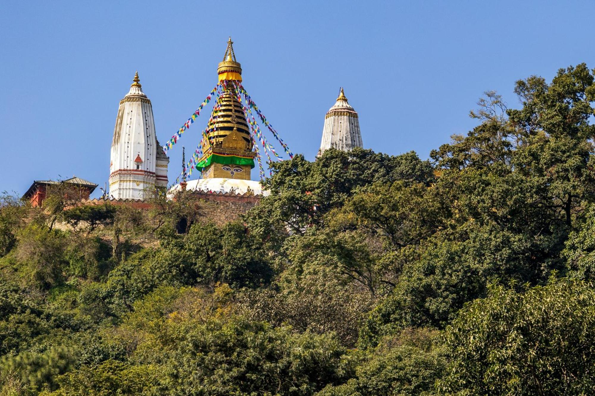House Of Forrest, Service Apartments Kathmandu Luaran gambar